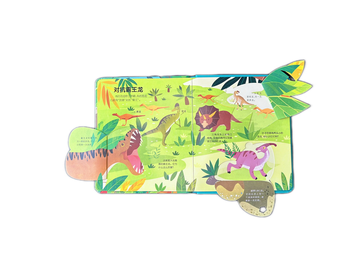 3+ Little Lychee Starter Bundle